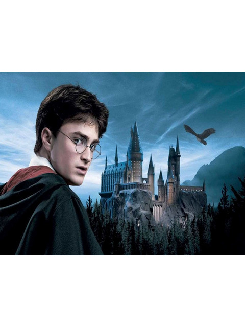 Гарри Поттер и Хогвартс