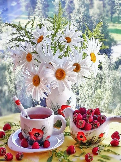 Летнее утро