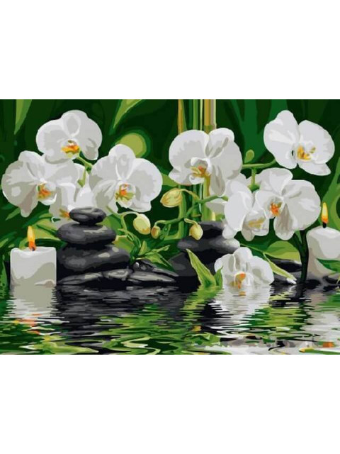 Белые орхидеи. Релакс