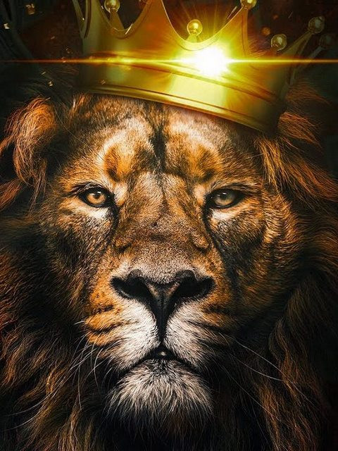Король лев