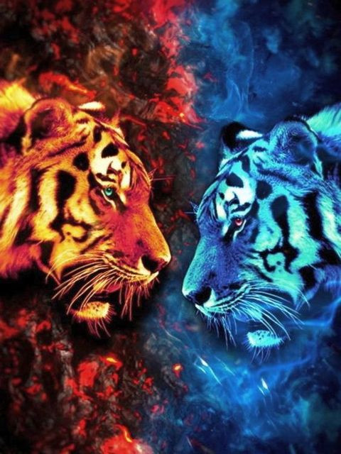 Лед и пламя. Тигры