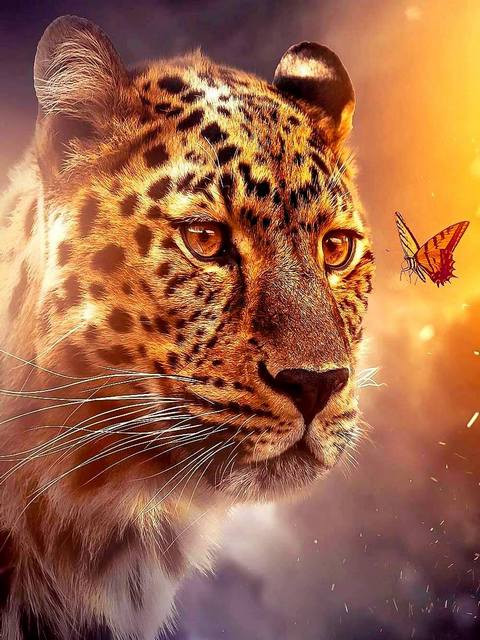 Леопард и бабочка