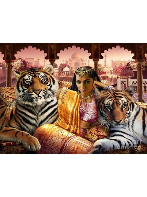 Индийские тигры