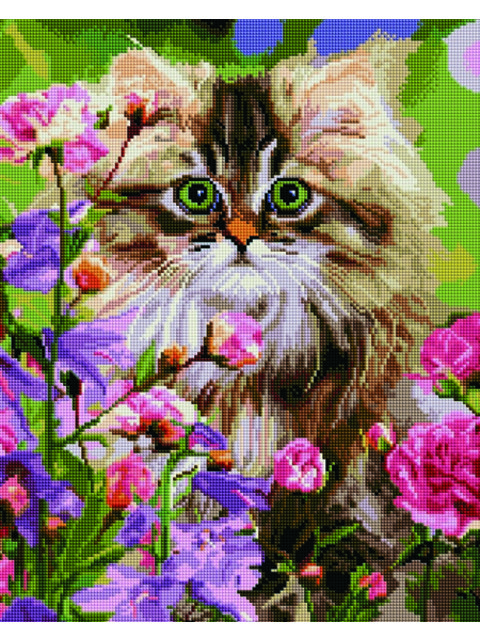 Кот в цветах