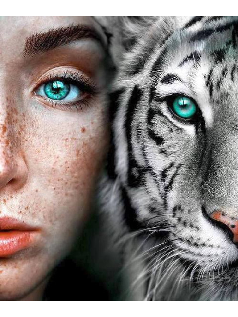 Две души. Белый тигр