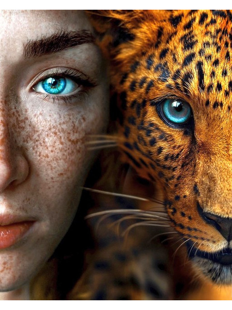 Две души. Леопард