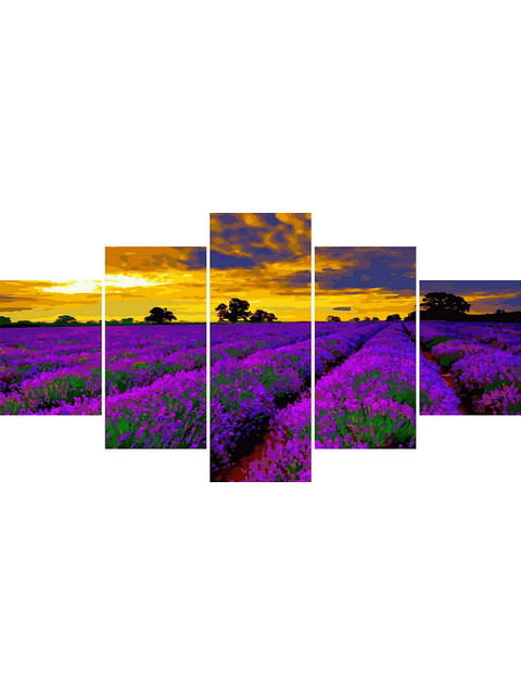 Лавандовое великолепие