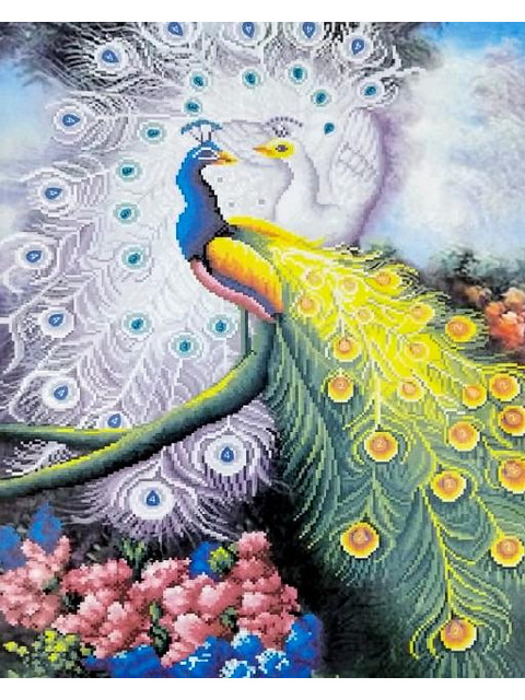 Кликните для увеличения изображения Два павлина